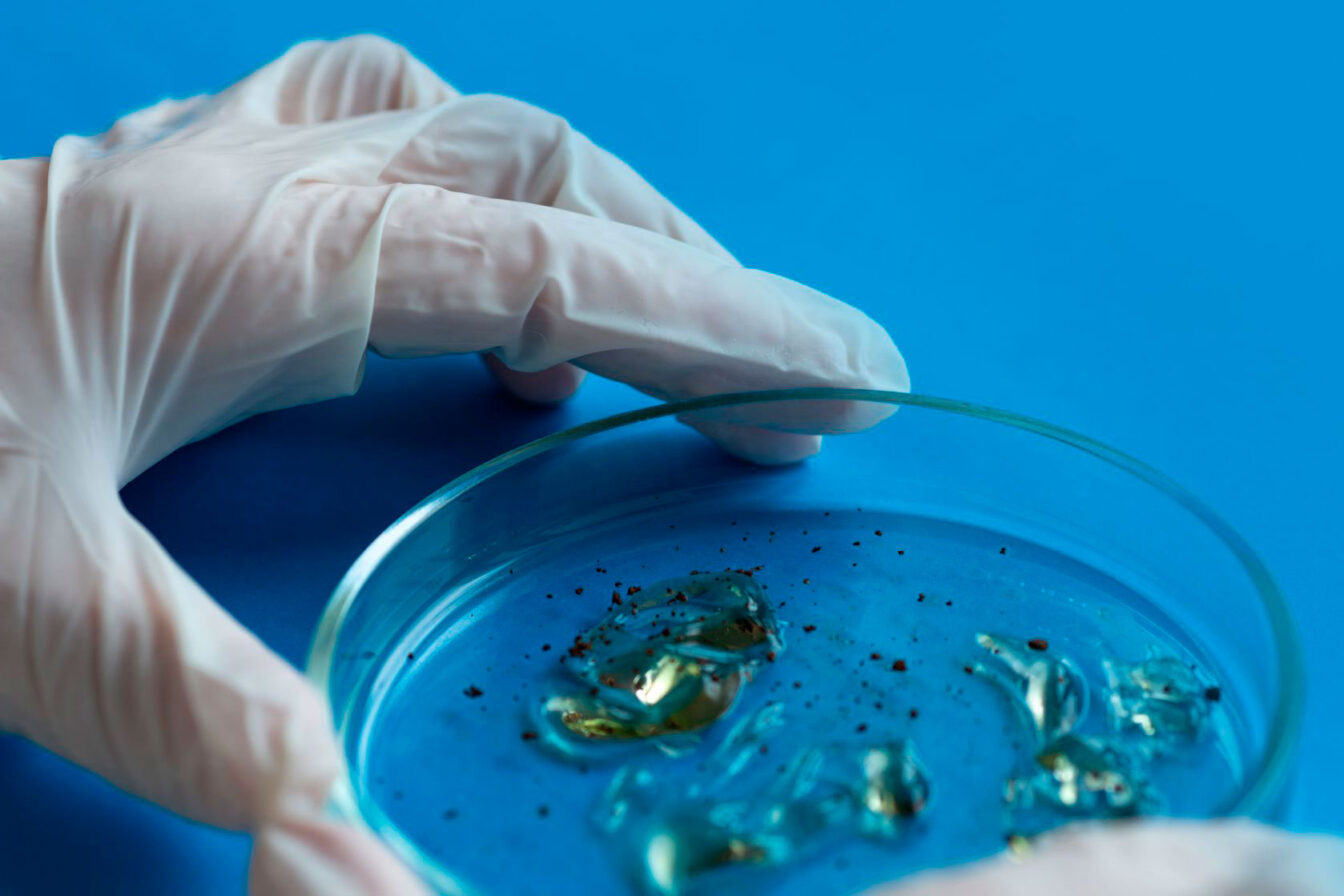 estudio-microbiota-intestinal